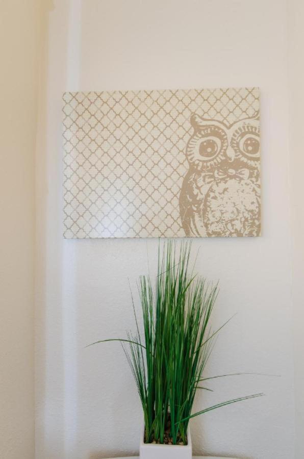 Snug Studio Apartment In The Heart Of Hollywood ลอสแอนเจลิส ภายนอก รูปภาพ